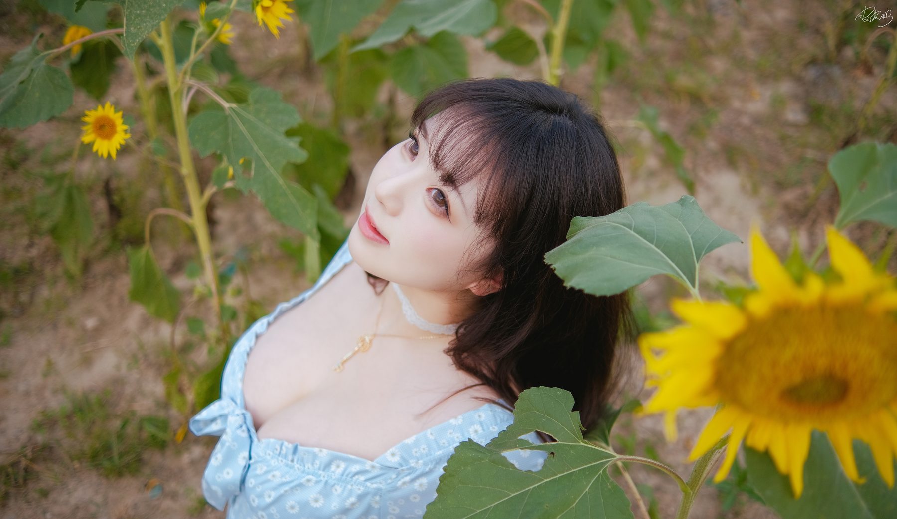 皮皮奶可可爱了 彼女向日葵 COS写真