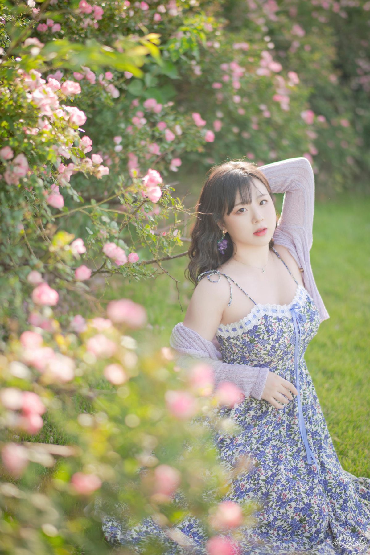 皮皮奶可可爱了啦 蔷薇花 COS写真