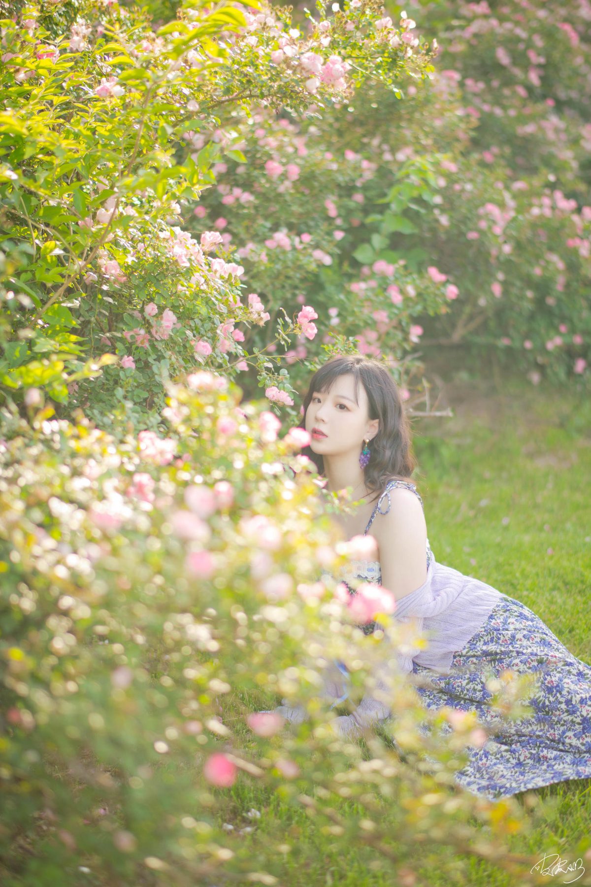 皮皮奶可可爱了啦 蔷薇花 COS写真