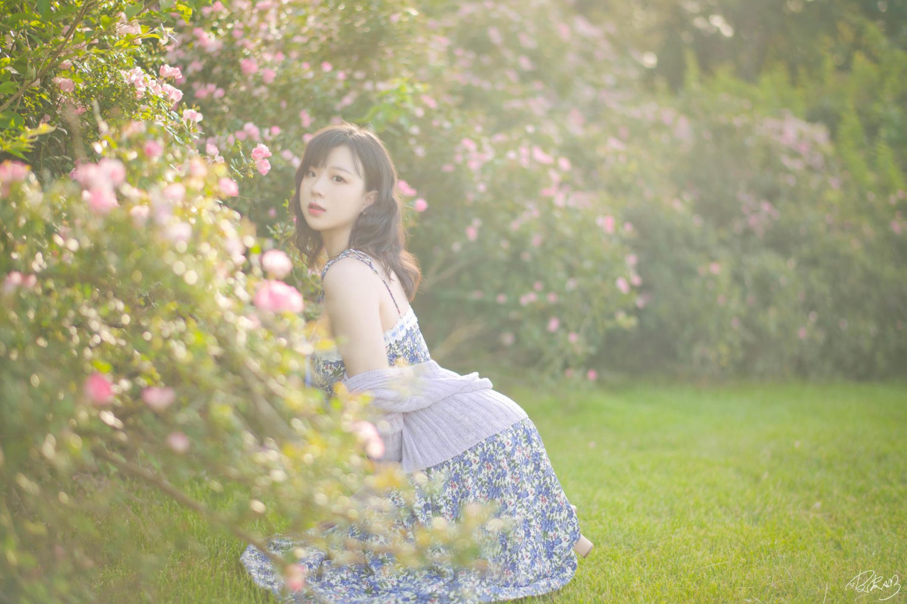 皮皮奶可可爱了啦 蔷薇花 COS写真