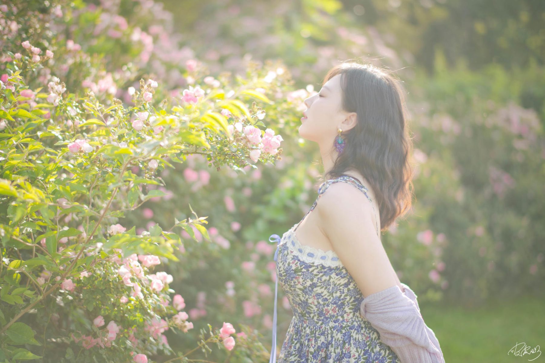 皮皮奶可可爱了啦 蔷薇花 COS写真