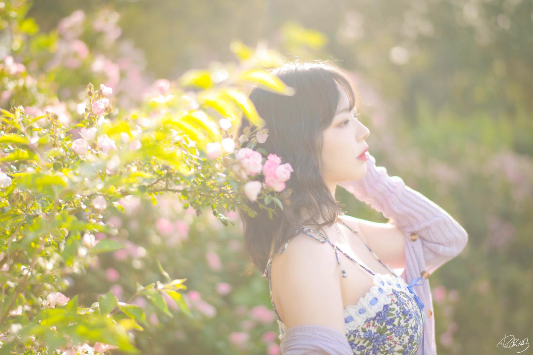 皮皮奶可可爱了啦 蔷薇花 COS写真