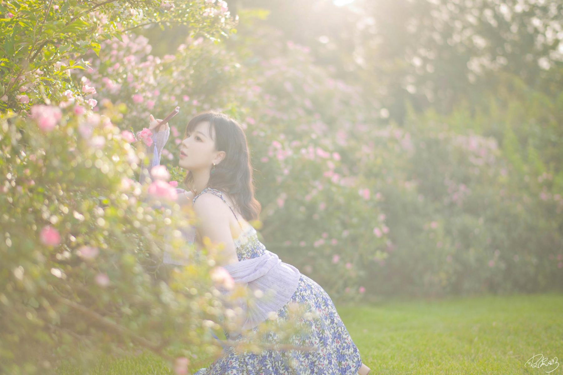 皮皮奶可可爱了啦 蔷薇花 COS写真