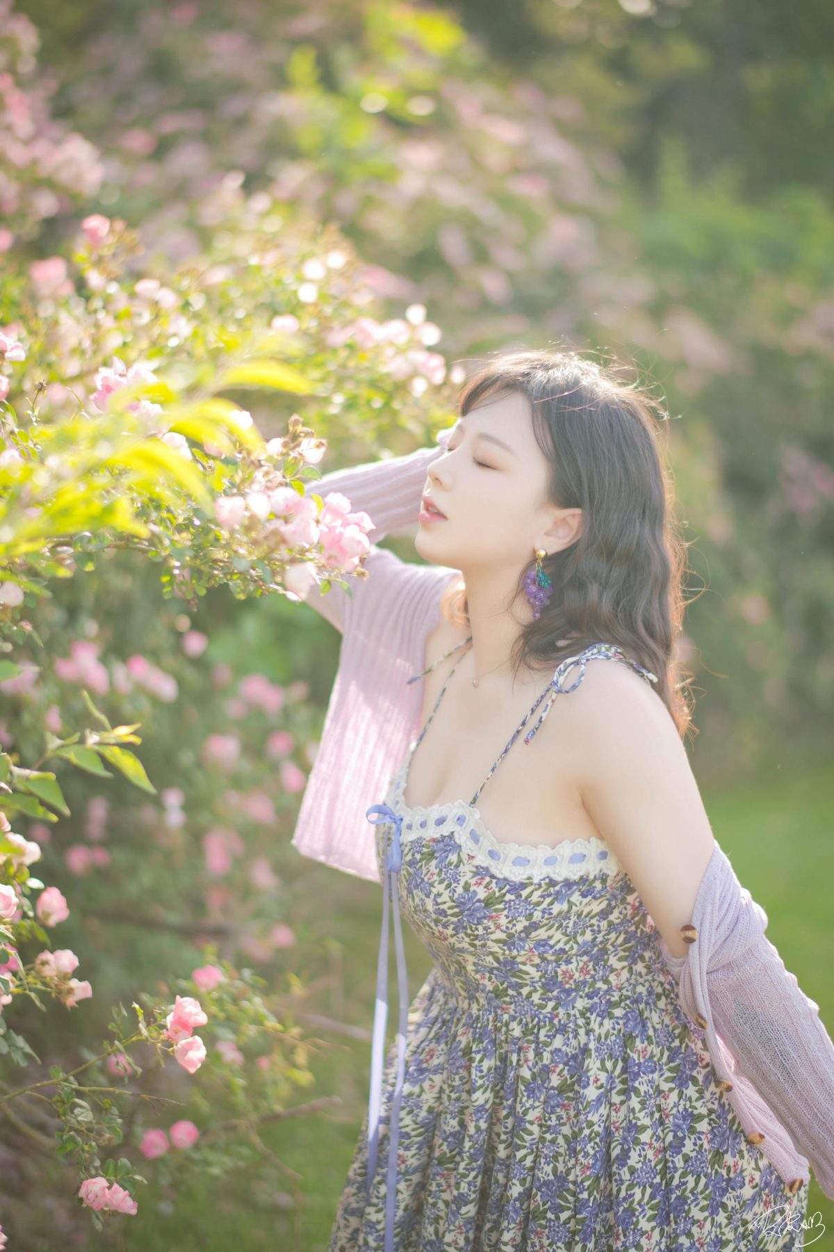 皮皮奶可可爱了啦 蔷薇花 COS写真