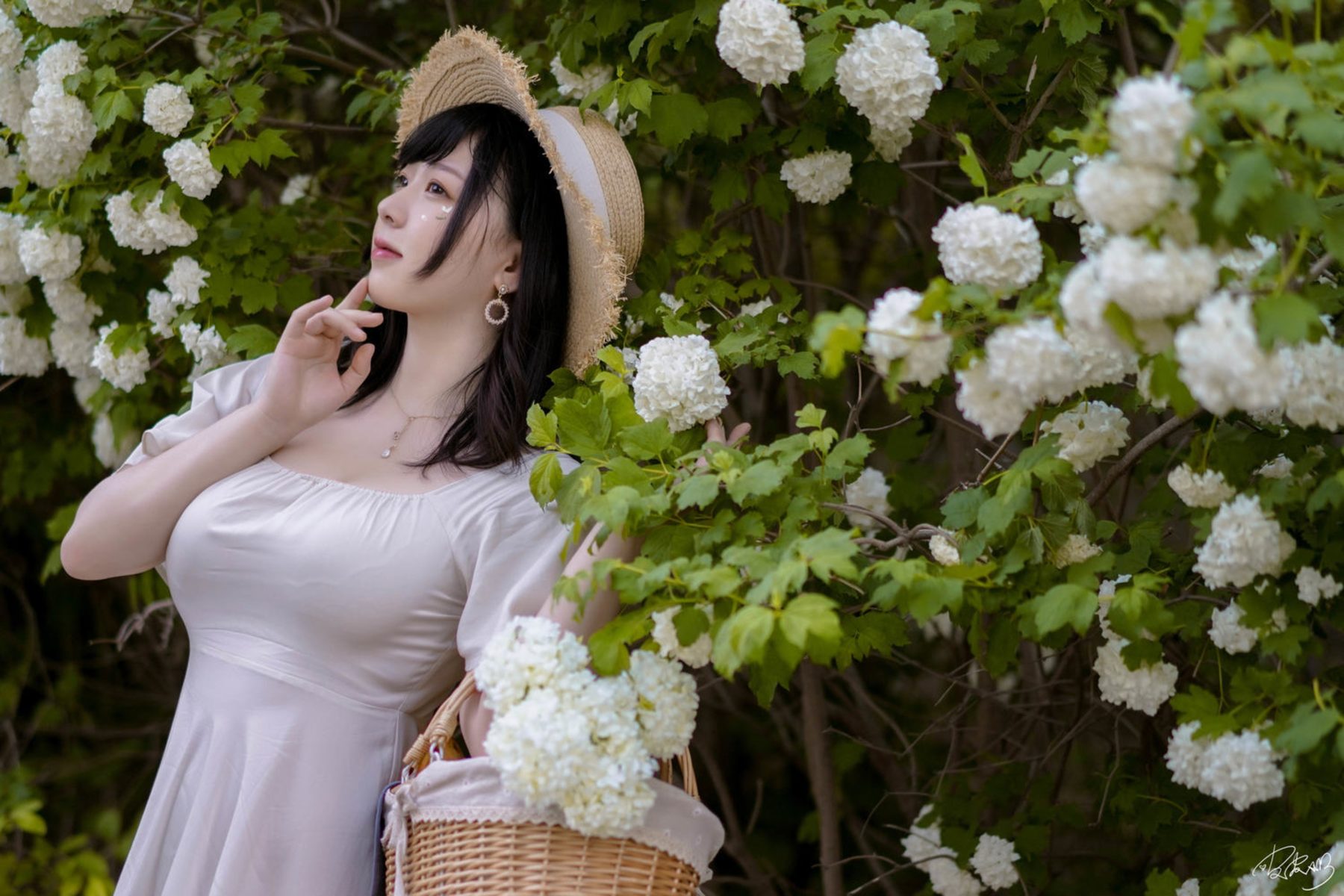 皮皮奶可可爱了啦 绣球花 COS写真