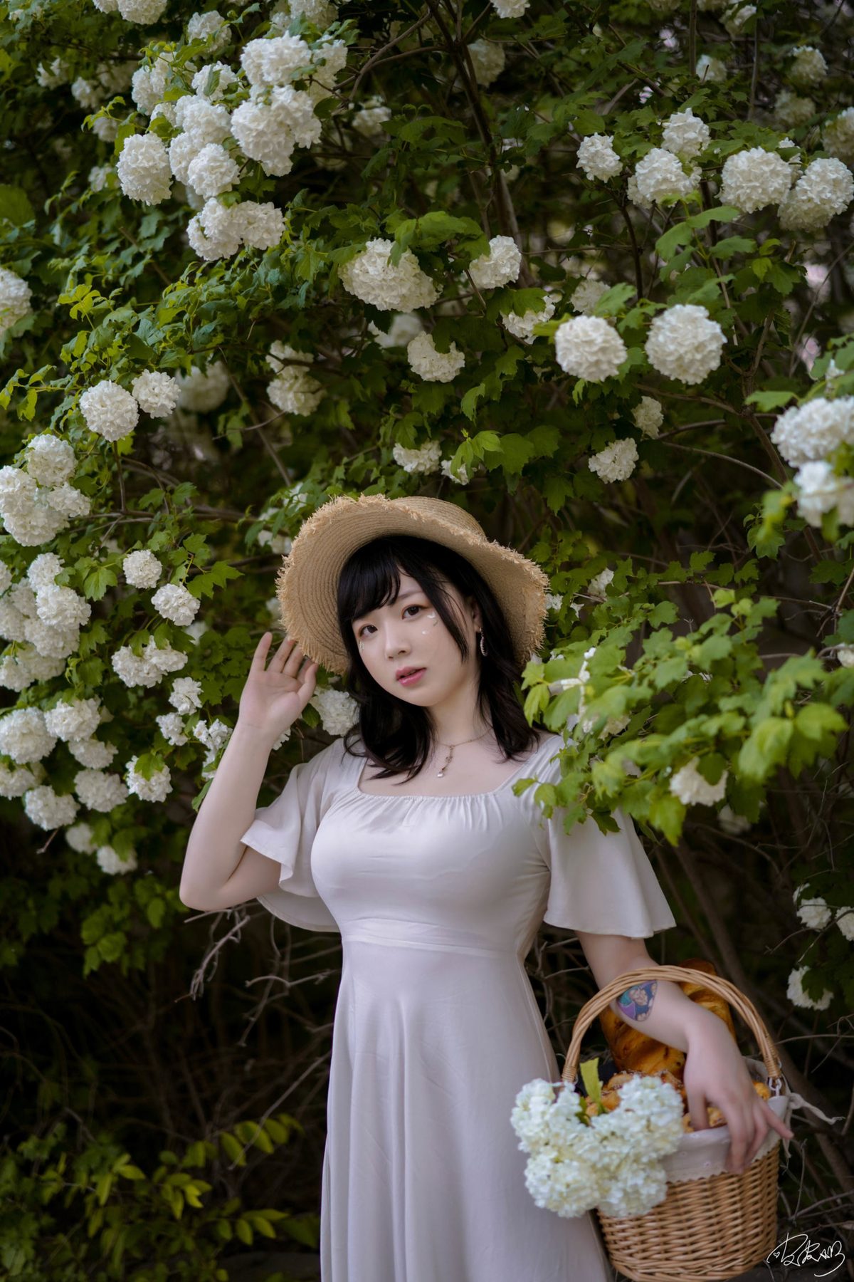 皮皮奶可可爱了啦 绣球花 COS写真