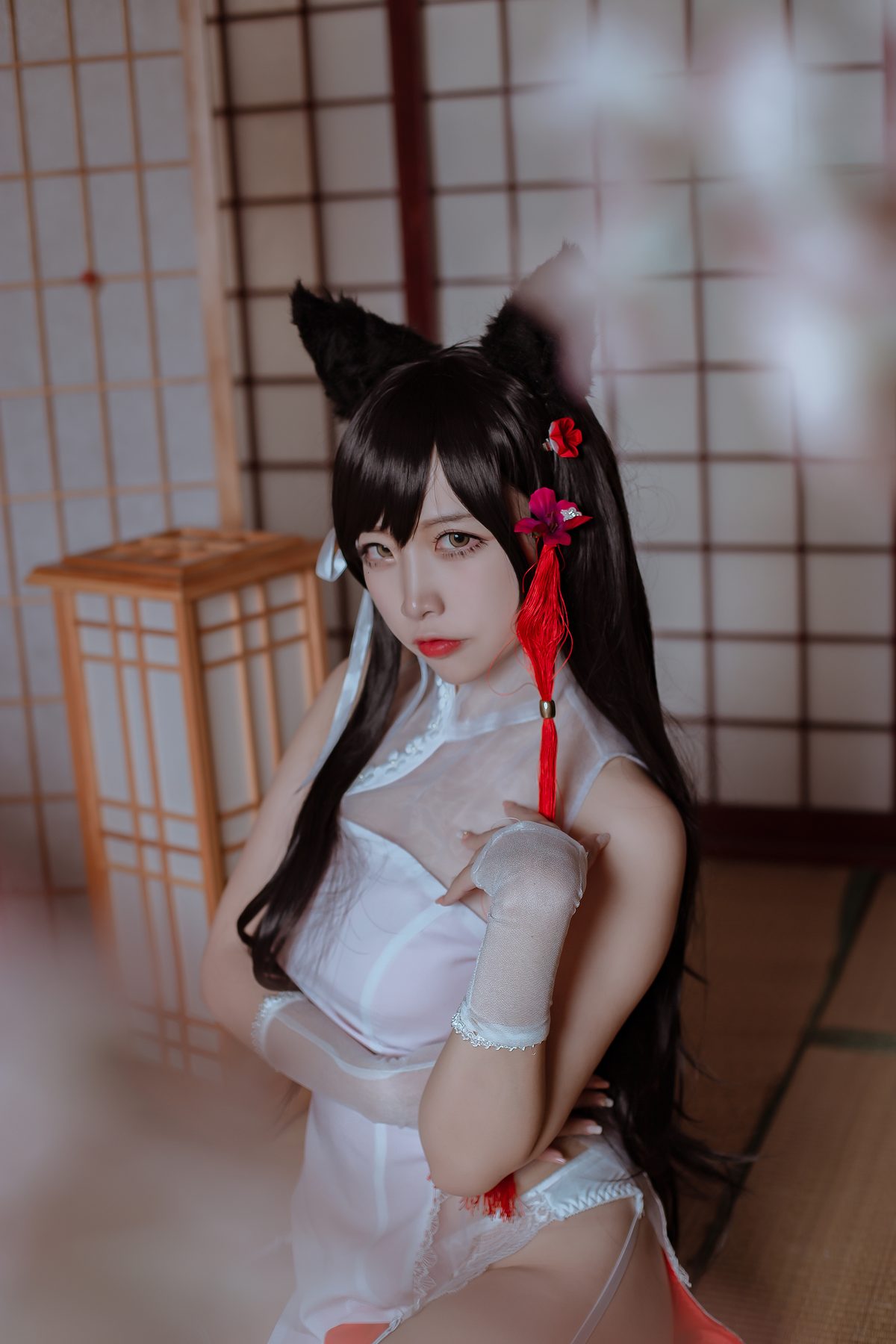 二佐Nisa 犬之眷 碧蓝航线 爱宕 旗袍 COS写真