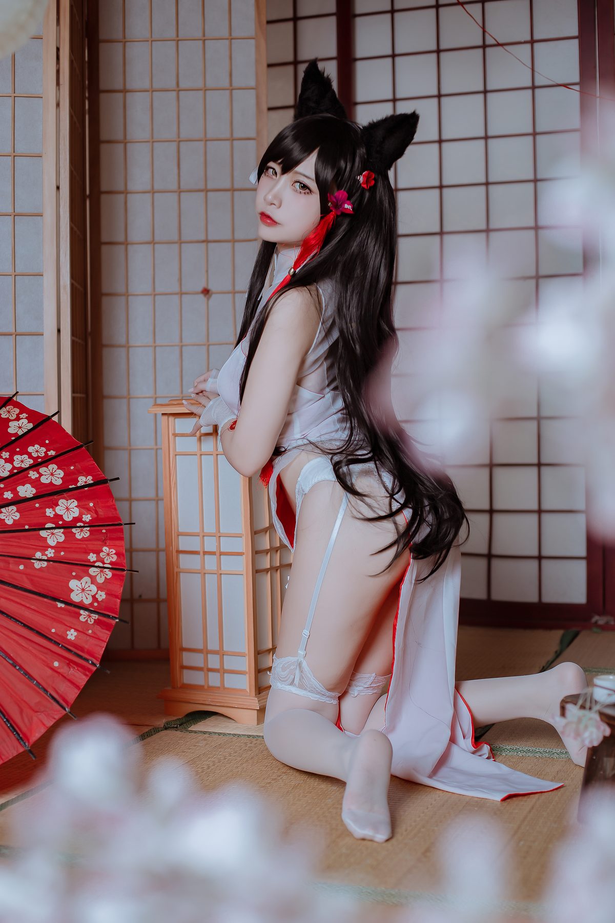 二佐Nisa 犬之眷 碧蓝航线 爱宕 旗袍 COS写真