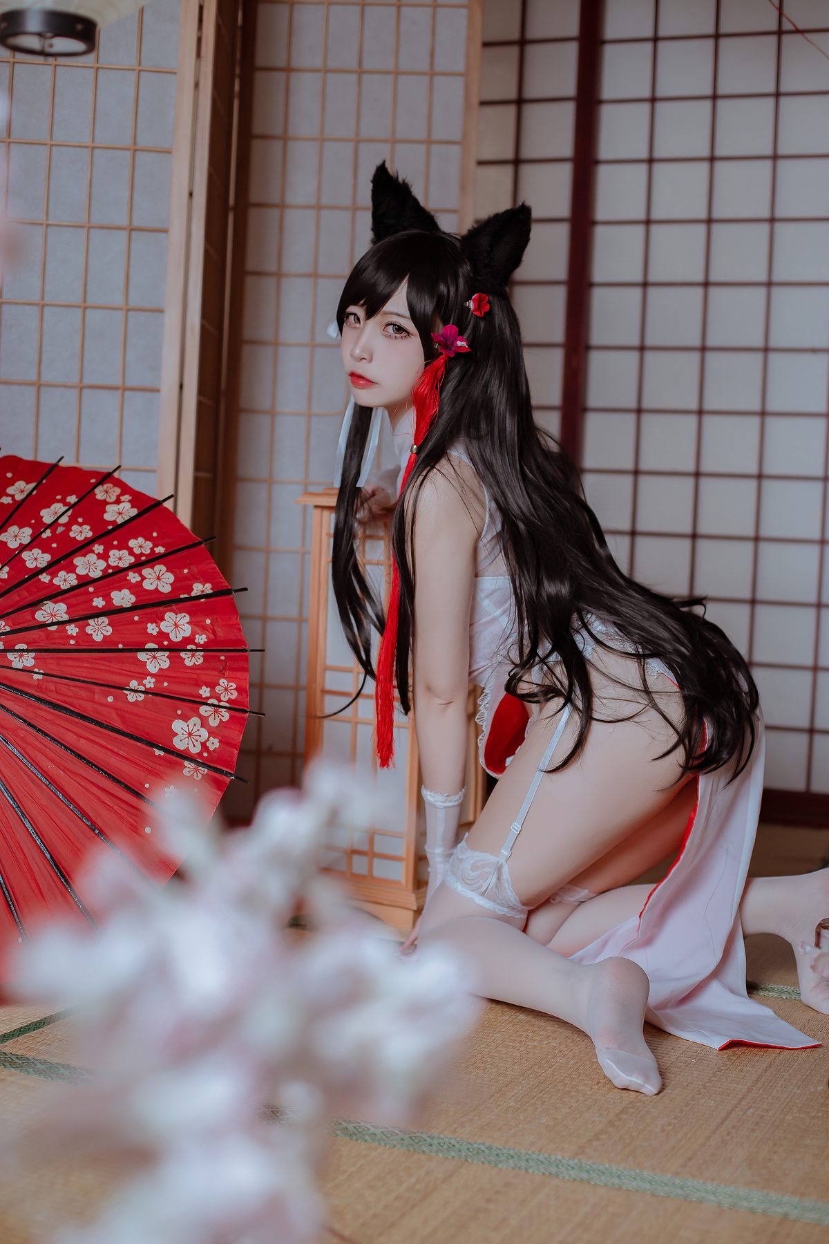 二佐Nisa 犬之眷 碧蓝航线 爱宕 旗袍 COS写真