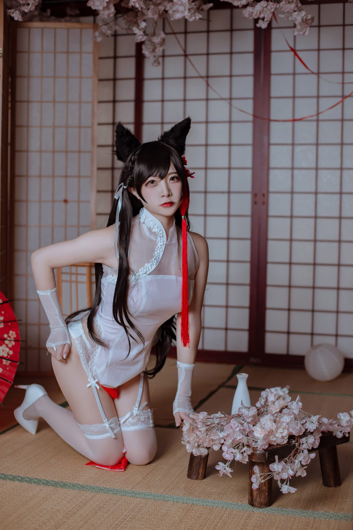 二佐Nisa 犬之眷 碧蓝航线 爱宕 旗袍 COS写真