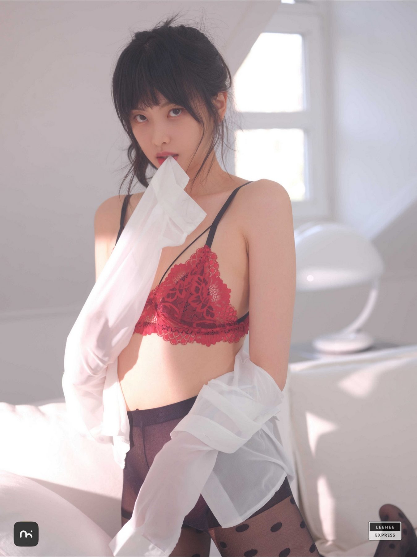 LeeheeExpress LEDG-254A GMS COS写真